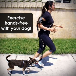 Hands-free armband pet leash